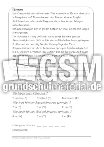 Känguru.pdf